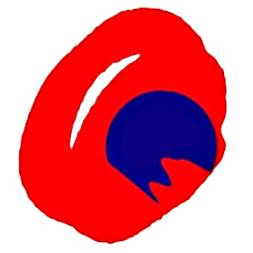 ボルテックスセイグン