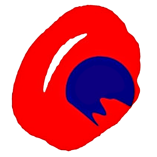 ボルテックスセイグン