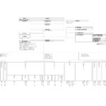 令和7年10月1日現在組織図